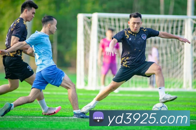 云顶国际服务体系